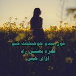 رمان قول میدم خوشبختت کنم از فائزه بهشتی راد دانلود رایگان